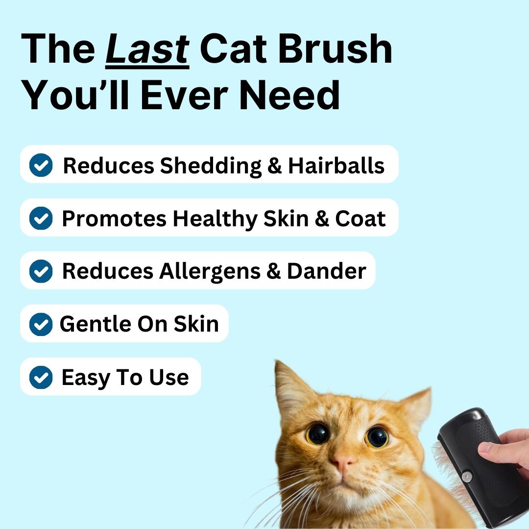 GroomPro™ 2.0 - The #1 Cat Shedding Solution