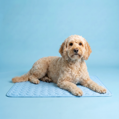 ChillPaws™ Cooling Mat