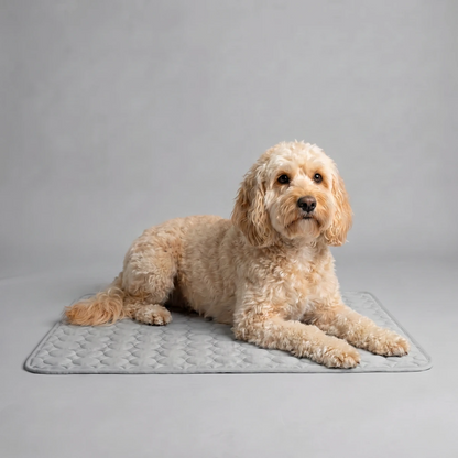 ChillPaws™ Cooling Mat